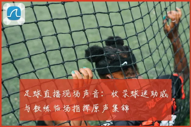 足球直播现场声音：收录球迷助威与教练临场指挥原声集锦