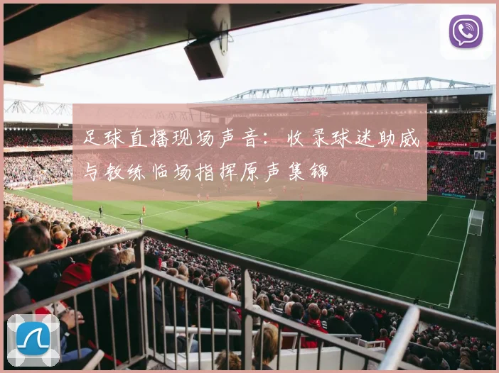 足球直播现场声音：收录球迷助威与教练临场指挥原声集锦