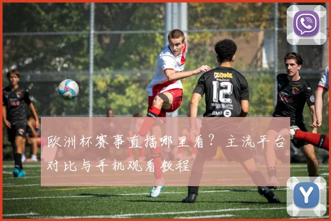 欧洲杯赛事直播哪里看？主流平台对比与手机观看教程
